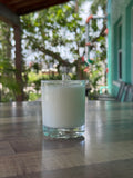 Wicked Dolphin Cocktail Candles